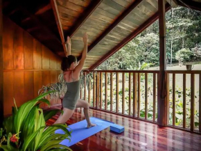 Casa of Dreams